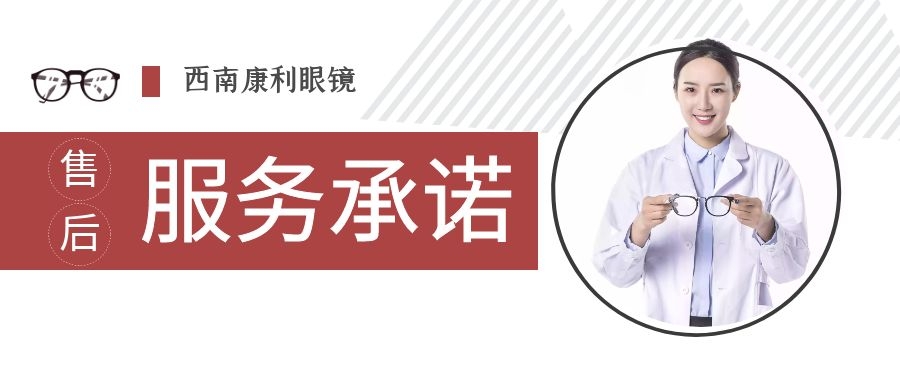 文章模型(图1)